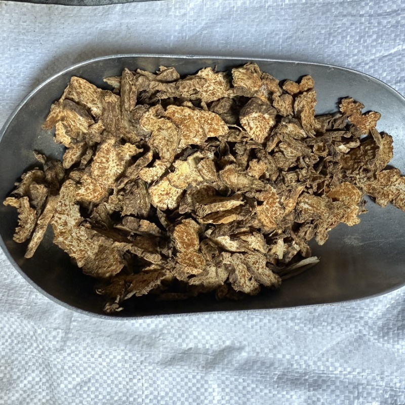 种植苍术北苍术精选货大货供应货源充足
