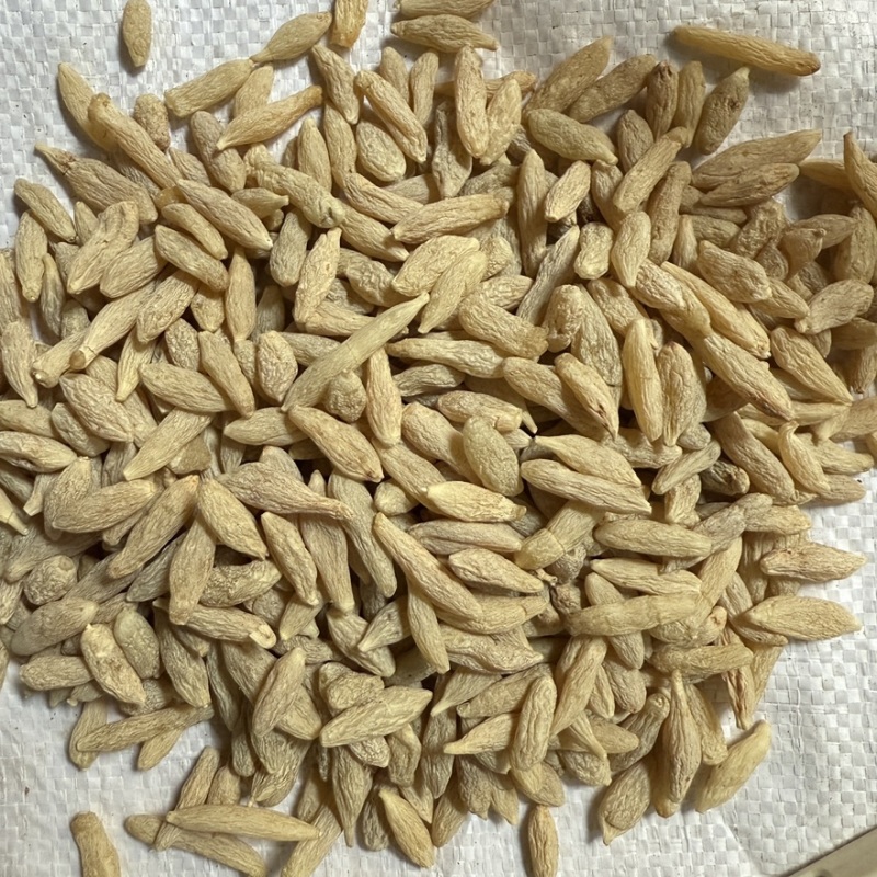 川麦冬精选货零售批发价格