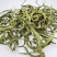 野生正品肾精草石伟草七星草肾精茶小叶骨牌草