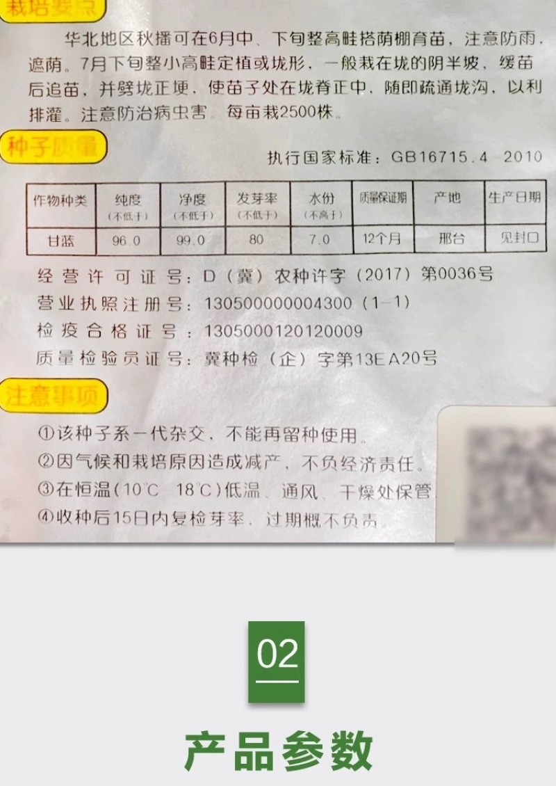 耐寒越冬甘蓝种子扁圆形秋季越冬两用圆包菜种子春眠升级品种