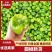 圆椒产地直发精品方椒太空椒灯笼椒精品鲜辣椒菜椒