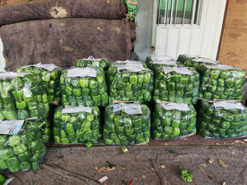 圆椒产地直发精品方椒太空椒灯笼椒精品鲜辣椒菜椒