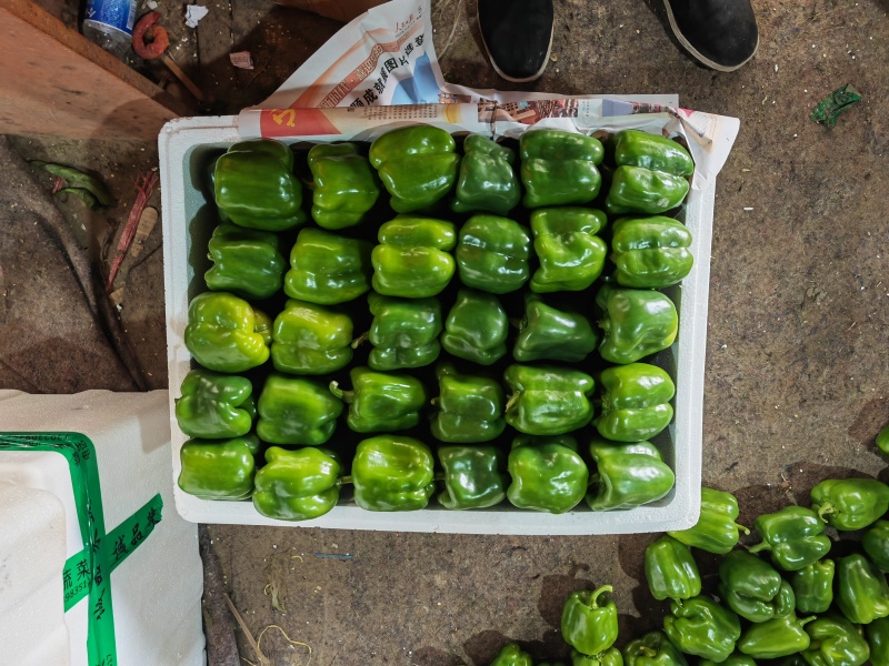 圆椒产地直发精品方椒太空椒灯笼椒精品鲜辣椒菜椒