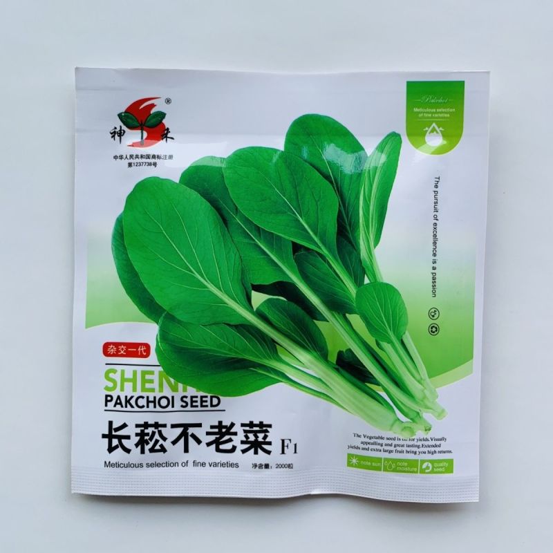 长崧不老菜种子鸡毛菜种子小菘菜种子口感好春秋小白菜种子