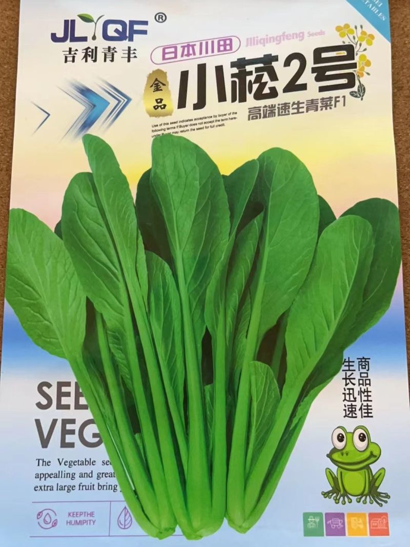 长崧不老菜种子鸡毛菜种子小菘菜种子口感好春秋小白菜种子