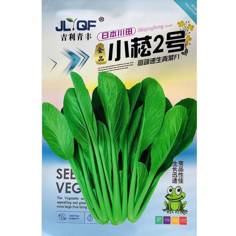 长崧不老菜种子鸡毛菜种子小菘菜种子口感好春秋小白菜种子