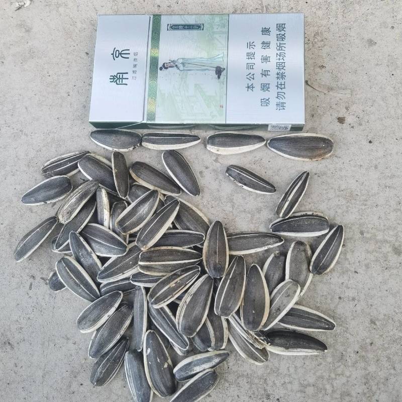 精品内蒙葵花籽产地直发一手货源质量保证代发全国