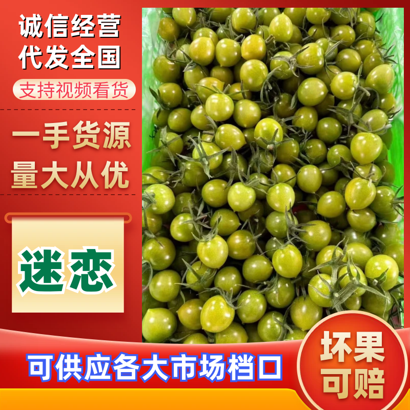 青甜圣女果绿色小番茄山东寿光产地直发，可视频看货