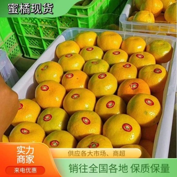 蜜橘宜昌蜜桔柑桔皮薄多汁口感纯甜高山蜜橘对接电商平台