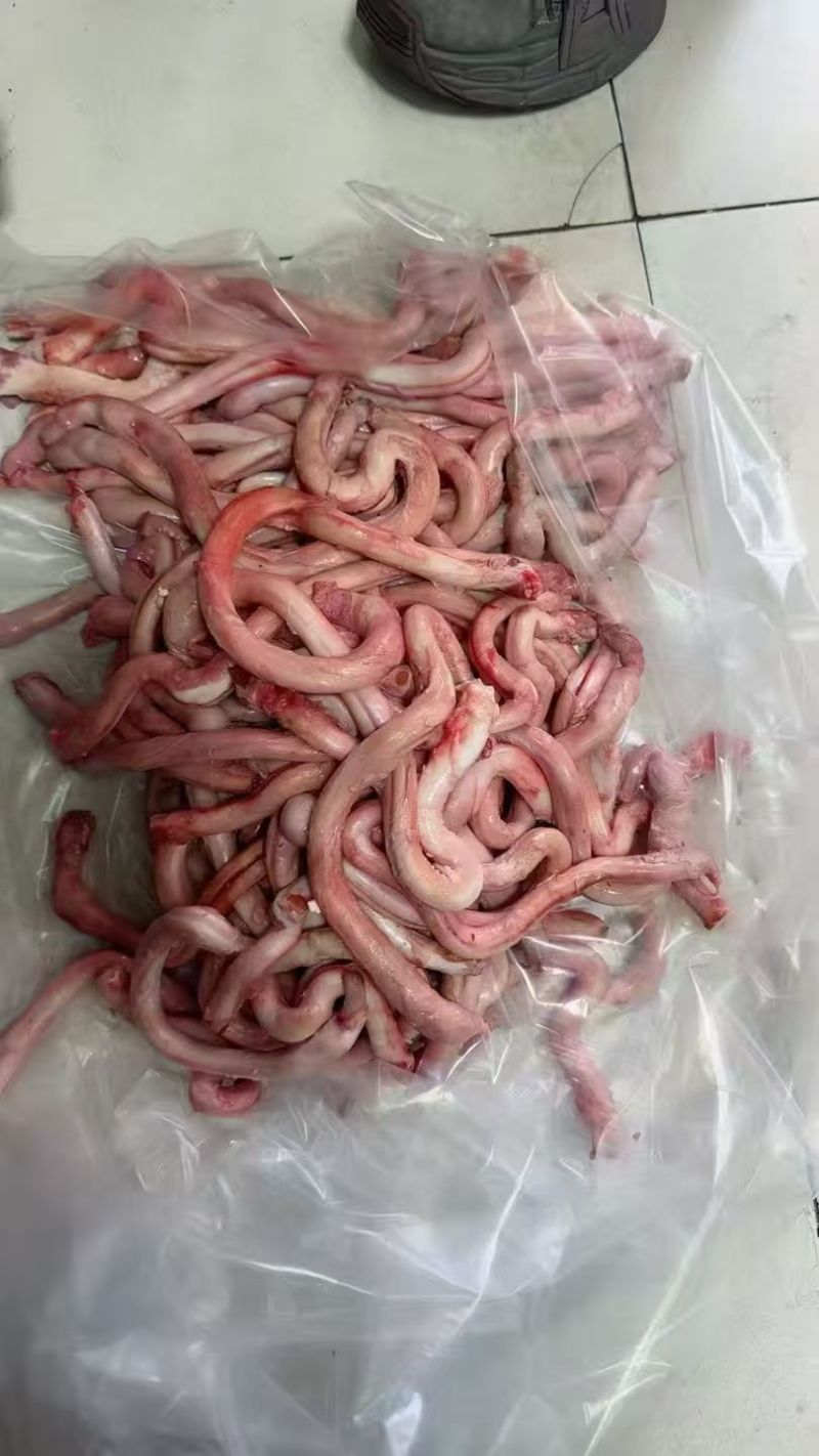 羊鞭