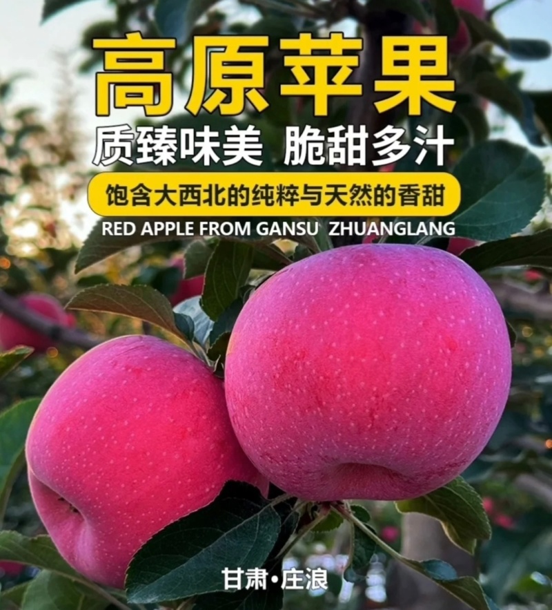 精品红富士苹果