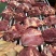 鲜宰马肉马肋条马腱子马腿肉10斤福利包装现宰