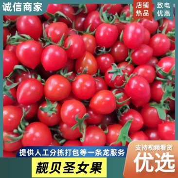 靓贝圣女果贝贝果樱桃小番茄量大从优保质保量