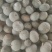 银栗南瓜，基地直发，可对接全国，可视频看货，量大从优