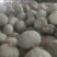 银栗南瓜，基地直发，可对接全国，可视频看货，量大从优