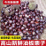 板栗大量上市各种规格都有量大从优产地看货论价