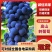 湖南怀化刺葡萄高山葡萄2号新鲜采摘可鲜食可酿酒大量供应
