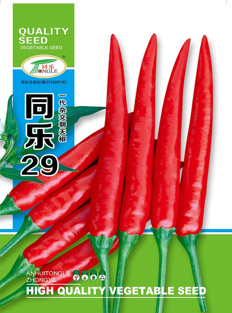 同乐29大果单生朝天椒干鲜两用一包5克