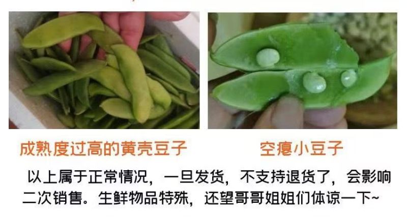 白玉豆王帝豆大量上市产地直发欢迎采购