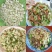 白玉豆王帝豆大量上市产地直发欢迎采购