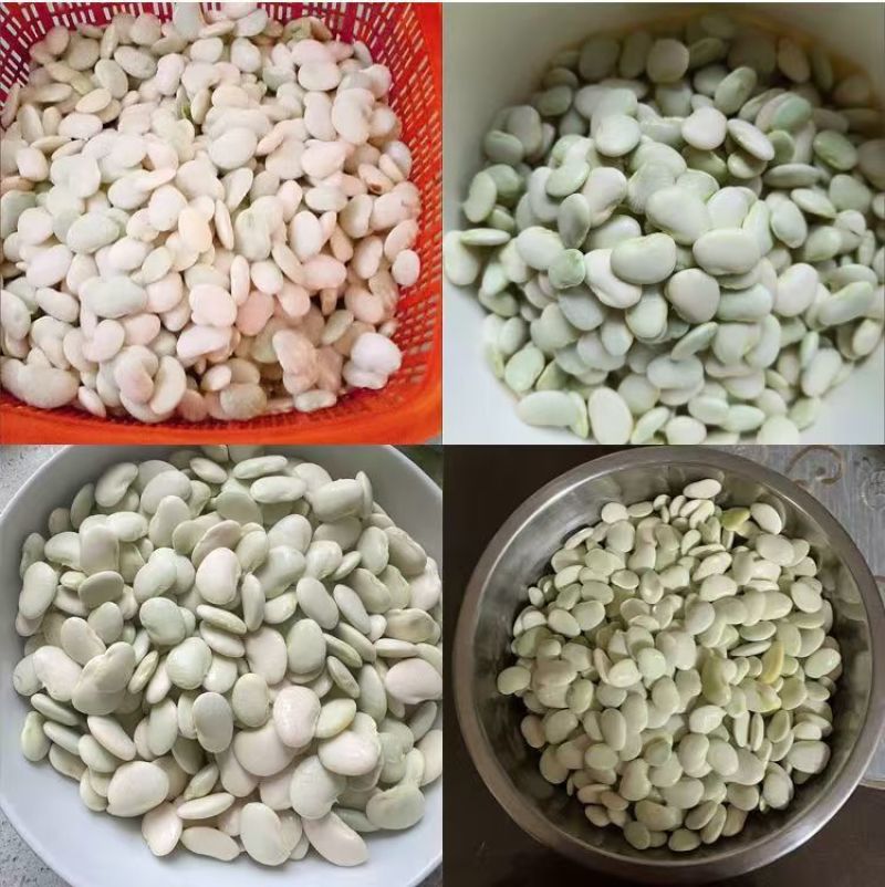 白玉豆王帝豆大量上市产地直发欢迎采购