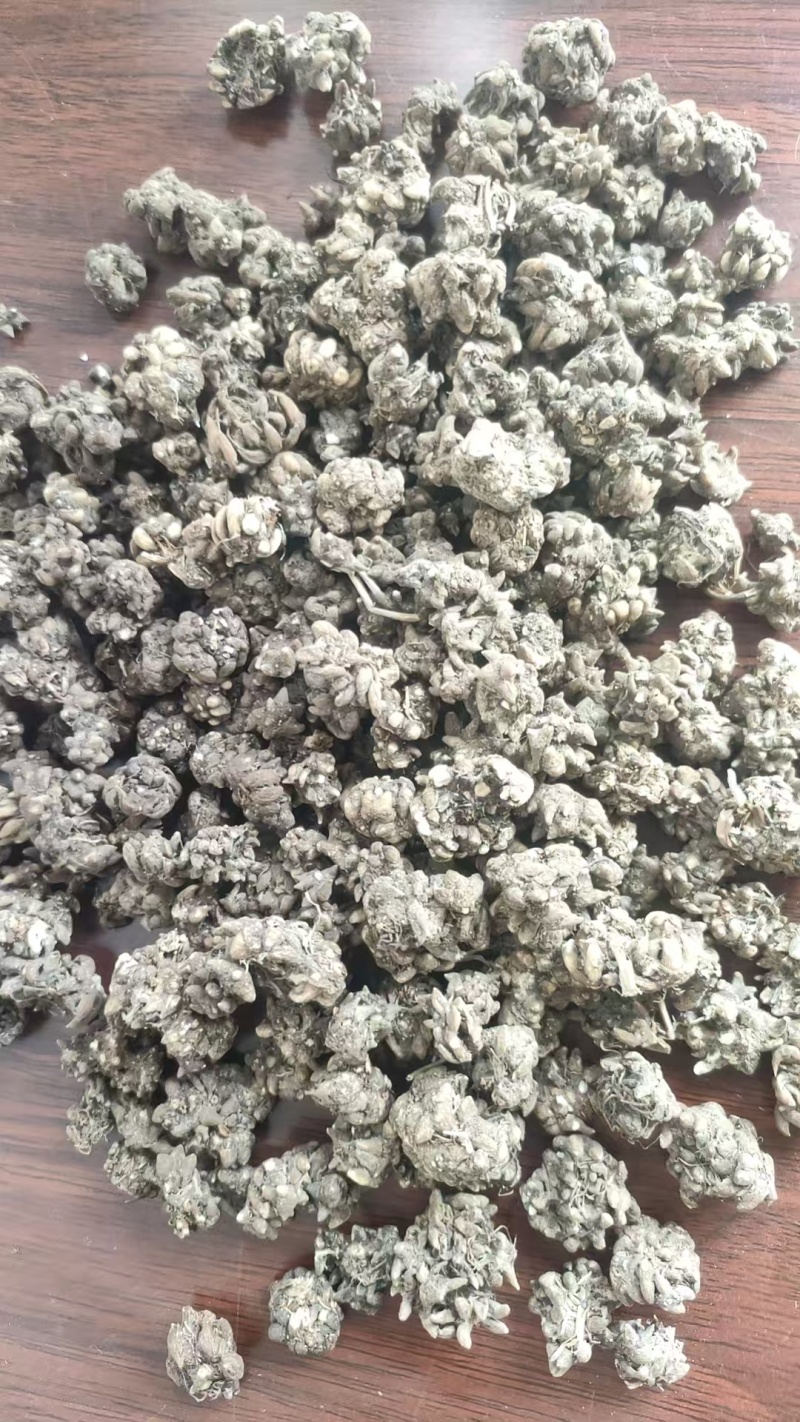 中药材，猫爪草厂家直发量大从优支持在线下单欢迎来电