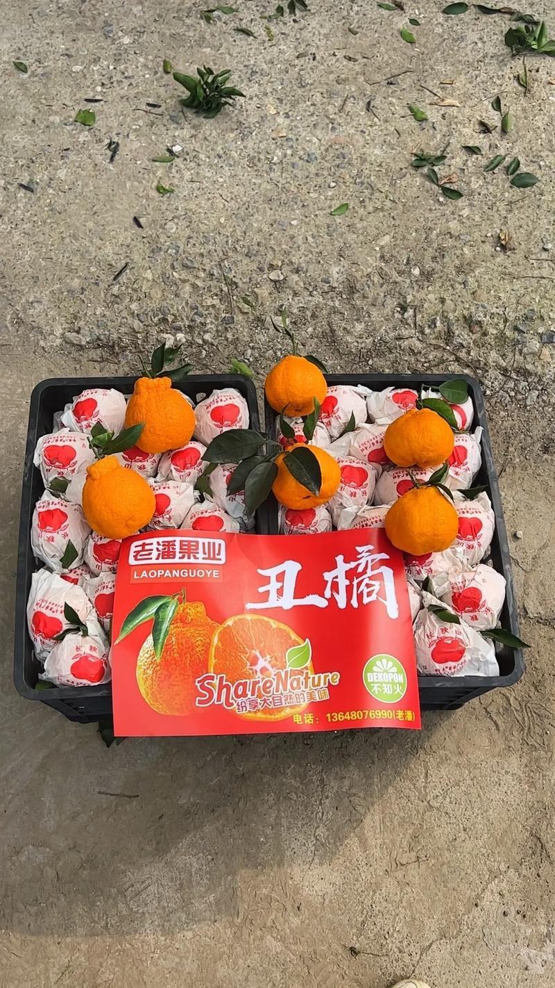 柑桔，丑桔，丑八怪，大炮桔，颜色火红产地一手货源大量供应