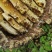 纯正高山土蜂蜜，蜂桶是树干自制的，没喂白糖！！！有报告