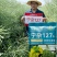 宁杂127油菜种子两系杂交甘蓝型油菜籽种籽高产抗病耐寒秋
