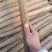 榆林紫山药是大量有货，可以视频看货，欢迎新老客户前来合作