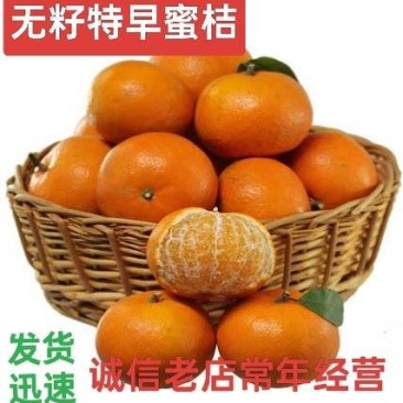 湖北宜昌富橘农业