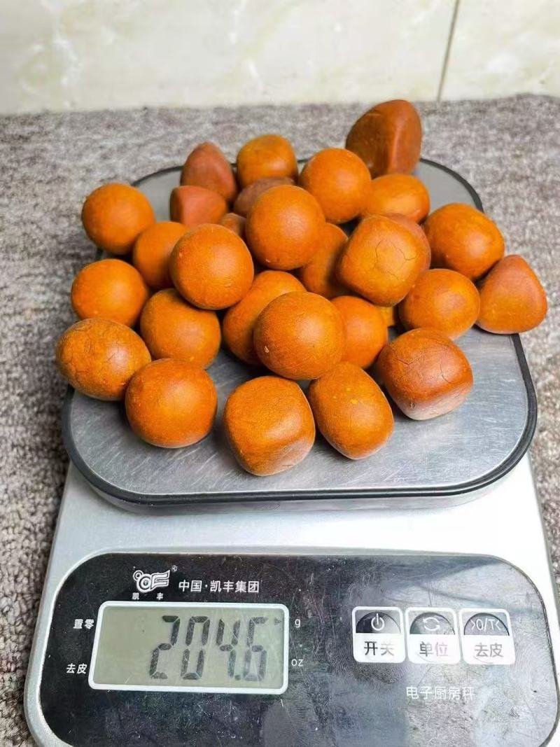 天然牛黄大量供应可视频看货欢迎来电采购