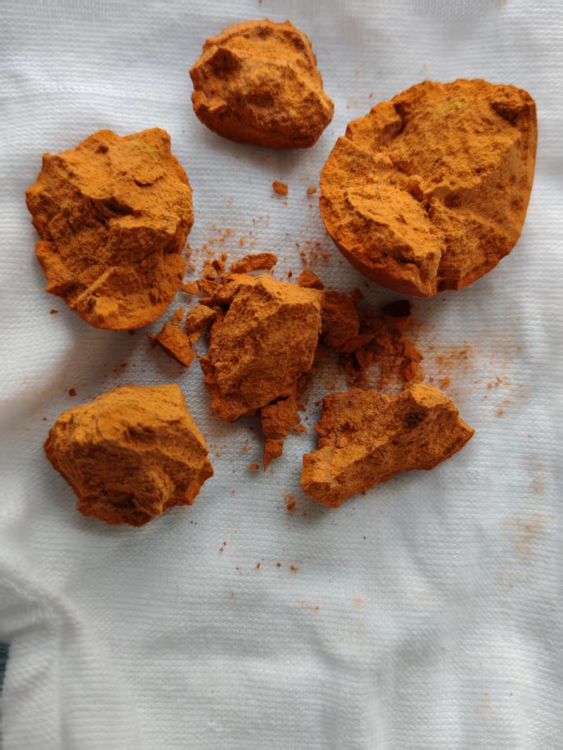天然牛黄大量供应可视频看货欢迎来电采购