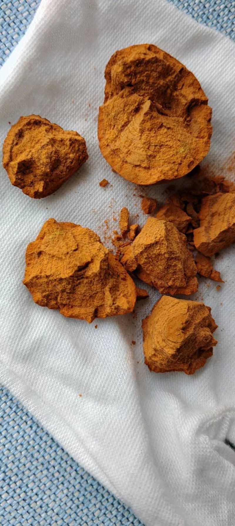 天然牛黄大量供应可视频看货欢迎来电采购