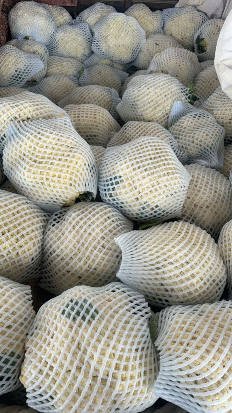 精品有机花大量上市有需要联系