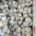 精品有机花大量上市有需要联系