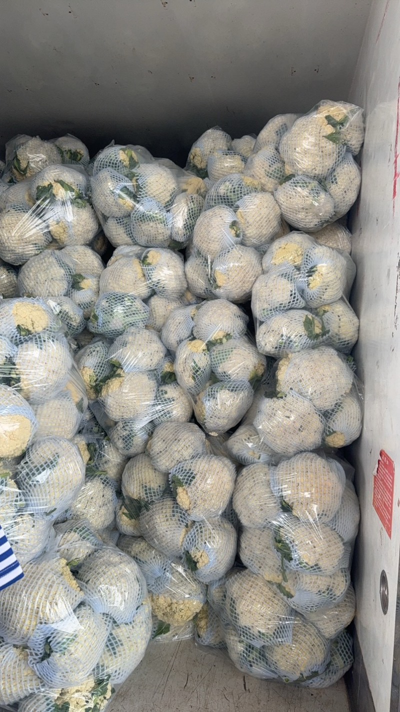 精品有机花大量上市有需要联系