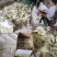 山东菏泽精品山药粉条，品质保证厂家直发，欢迎咨询