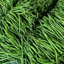 【线椒】二荆条山东临沂原产地大量供应