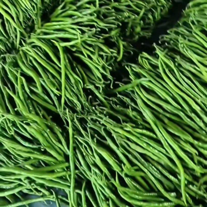 【线椒】二荆条山东临沂原产地大量供应