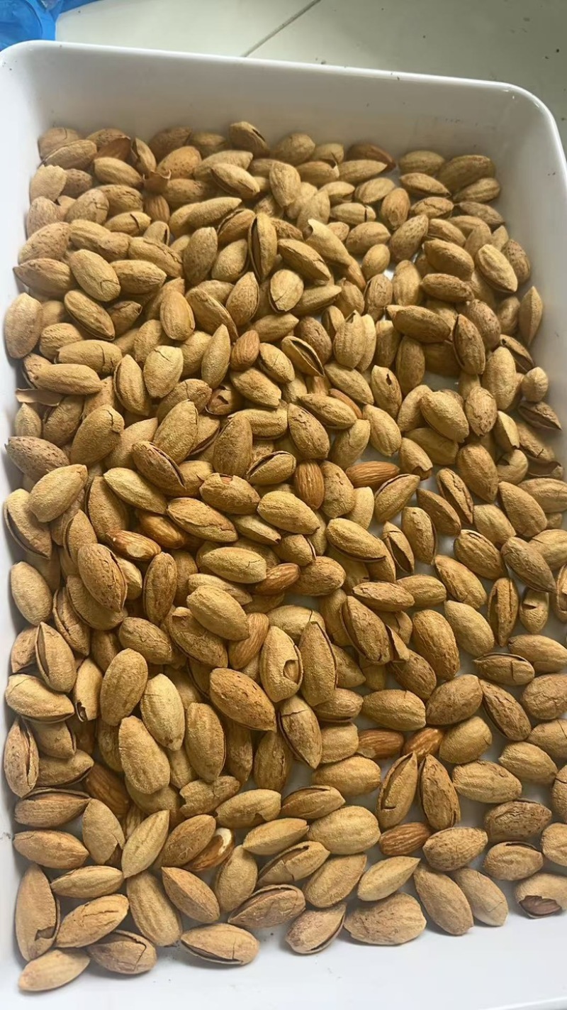 np巴旦木巴旦木仁薄壳坚果坚果干果果仁饱满