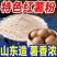 红薯面粉/粗粮面粉/山东红薯粗粮面粉