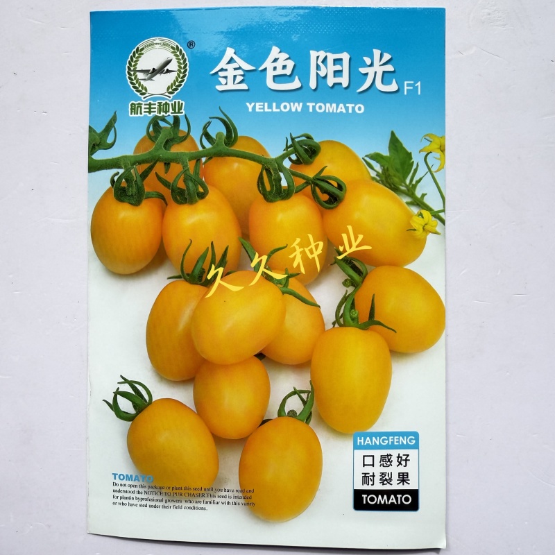 航丰金色阳光无限生长型黄果小番茄种子椭圆形口感佳耐裂果