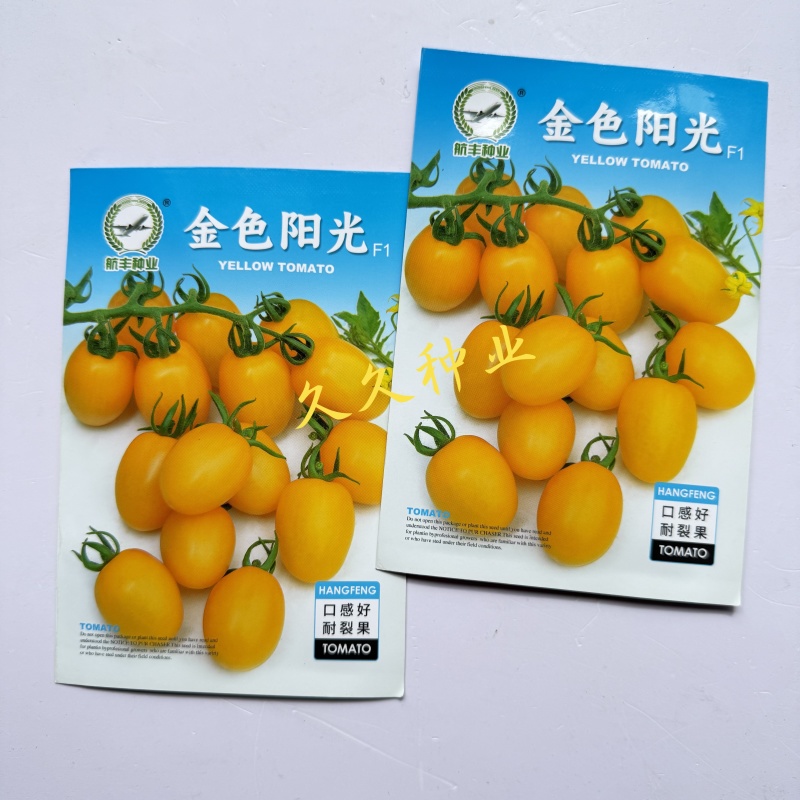 航丰金色阳光无限生长型黄果小番茄种子椭圆形口感佳耐裂果