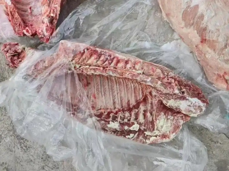 肥猪通排，常年有货，厂家直发