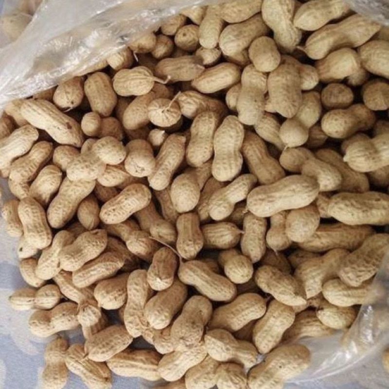 山东沂蒙沙地丘陵稀有品种黑花生山货一件零售批发