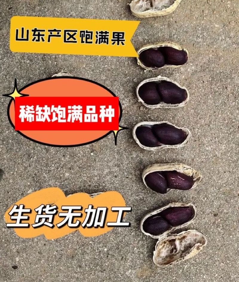 山东沂蒙沙地丘陵稀有品种黑花生山货一件零售批发