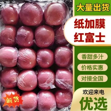 纸加膜冰糖心红富士/色泽艳丽/口感甜脆，产地直供。