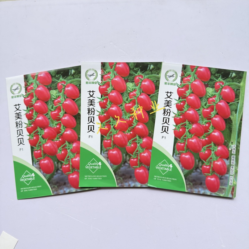 艾美粉贝贝小番茄种子四季番茄超甜千禧圣女果种籽小西红柿种