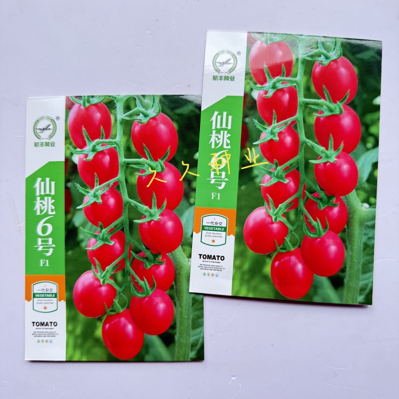 仙桃6号小番茄种子抗病强耐贮运千禧樱桃粉果小西红柿